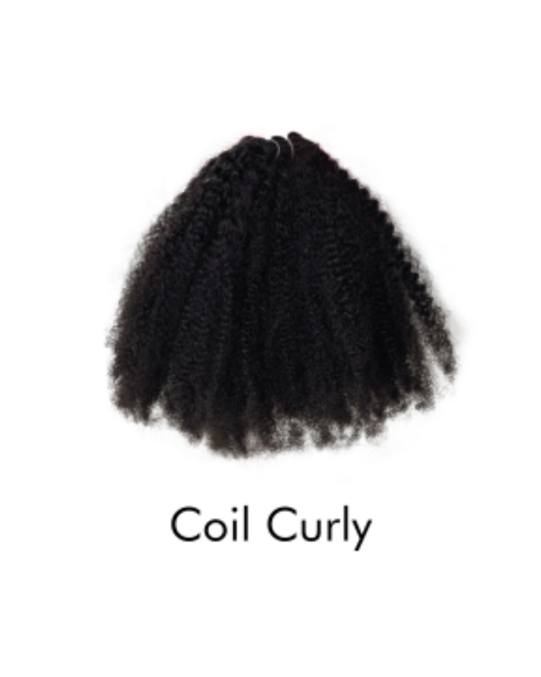 andreahairvn coil curly bundle