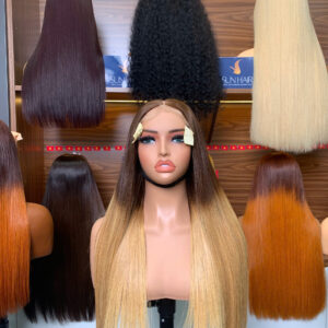 Ombre Brown Blonde Color Bone Straight Wig – 100% Raw Vietnames Hair From Sun Hair